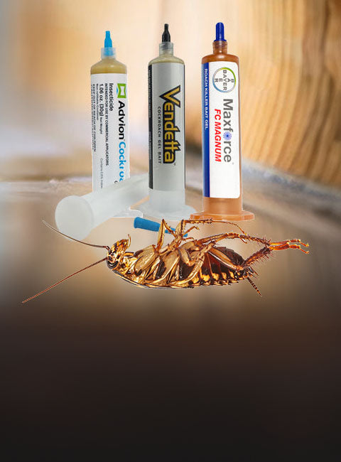 Roaches banner