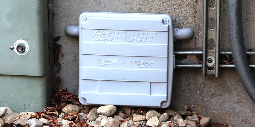 Protecta EVO Circuit Bait Station, 2-pack for versatile rodent control needs.