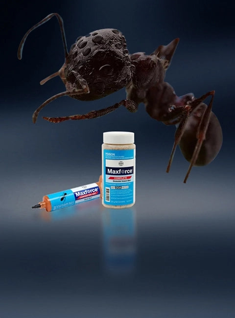 DIY Pest Control | Affordable Solutions | DIY Pest Warehouse