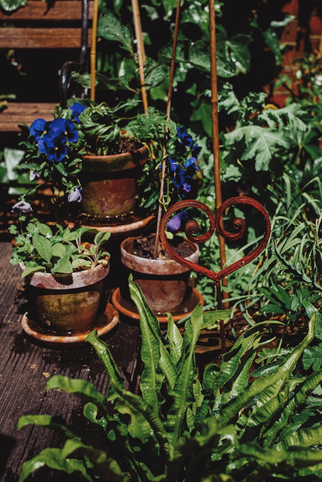 flower pots in yard
