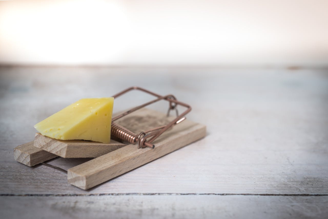 wooden mouse trap with cheese