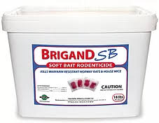 Brigand SB (Soft Bait)