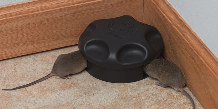 Protecta Keyless Mouse Bait Station