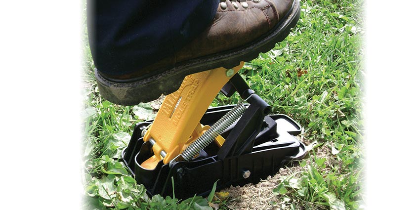 Talpirid Mole Trap, 3-pack for widespread mole control coverage.