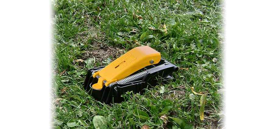 Talpirid Mole Trap for effective mole removal in lawns and gardens.