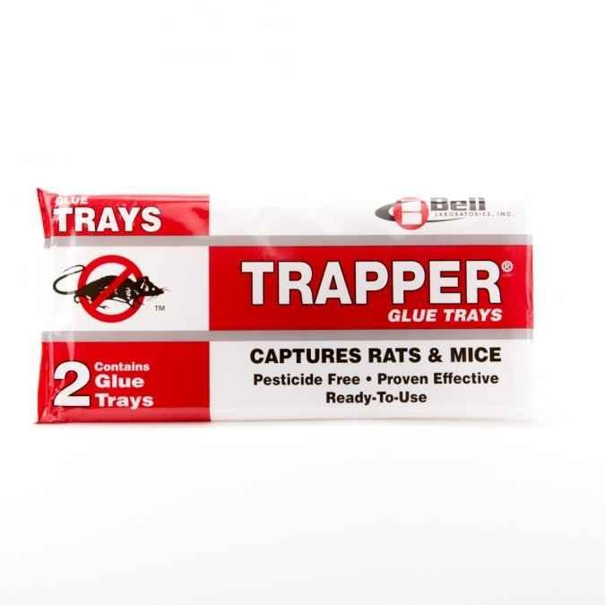 https://www.diypestwarehouse.com/cdn/shop/products/trapper-rat-glue-board-trap.jpg?v=1634665942